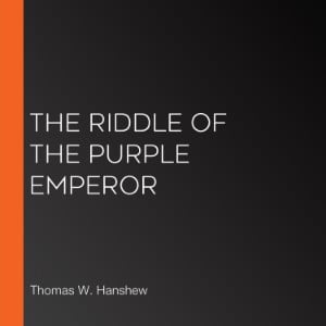 The Riddle of the Purple Emperor