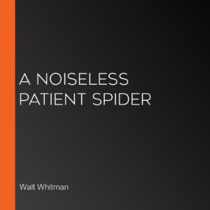 A Noiseless Patient Spider