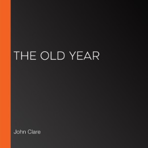 The Old Year