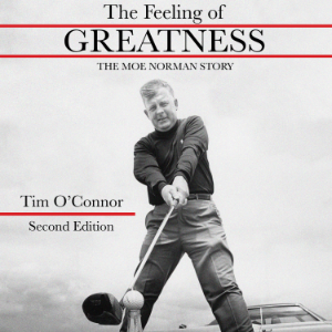 The Feeling of Greatness-logo
