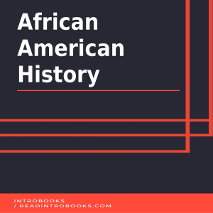 African American History-logo
