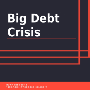 Big Debt Crisis-logo