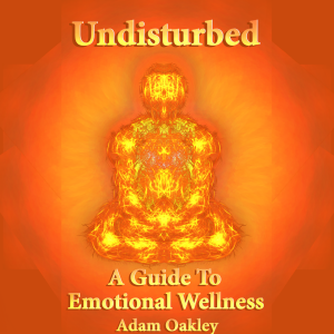 Undisturbed: A Guide To Emotional Wellness