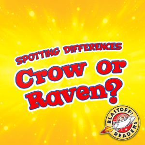 Crow or Raven?