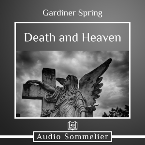 Death and Heaven-logo
