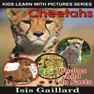Cheetahs-logo