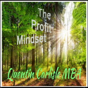 The Profit Mindset-logo