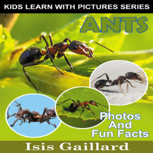 Ants-logo