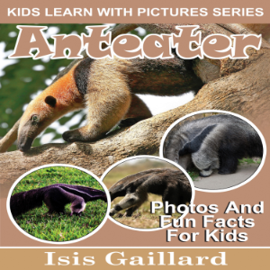 Anteater