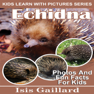 Echidna-logo