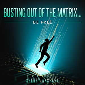 Busting Out of the Matrix