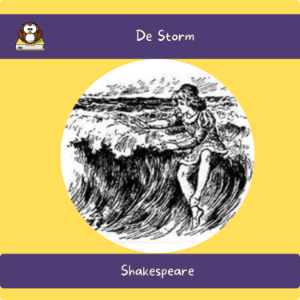 De Storm-logo