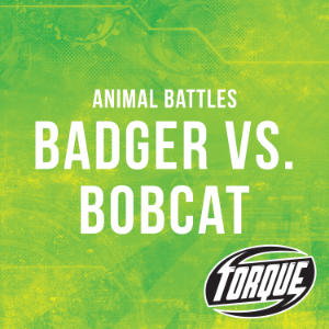 Badger vs. Bobcat