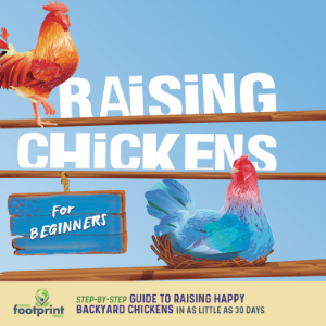 Raising Chickens For Beginners-logo