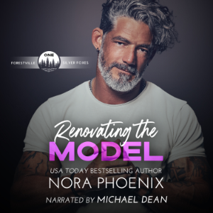 Renovating the Model-logo