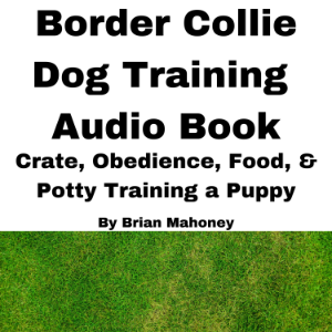 Border Collie Dog Training Audio Book-logo