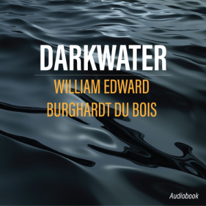 Darkwater-logo