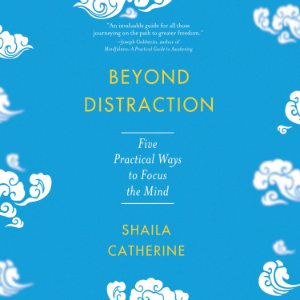 Beyond Distraction-logo