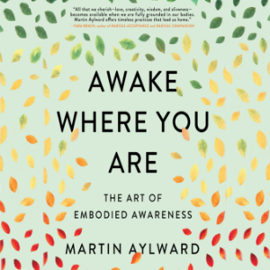 Awake Where You Are-logo