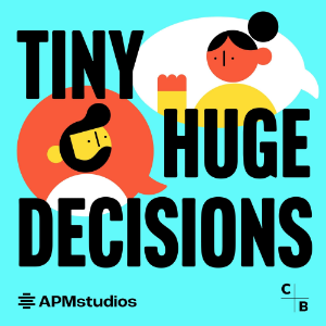 Tiny Huge Decisions-logo