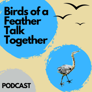 101: Extremely Accurate Bird Songs with Tommy Siegel and Billy Libby