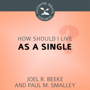 How Should I Live as a Single?-logo