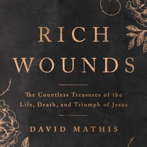 Rich Wounds-logo
