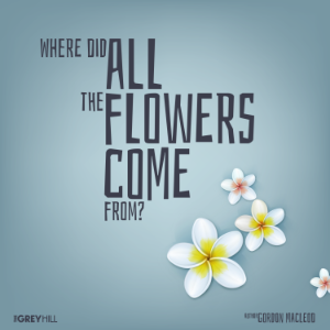 Where Did All The Flowers Come From?