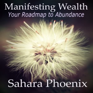 Manifesting Wealth-logo