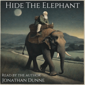 Hide the Elephant