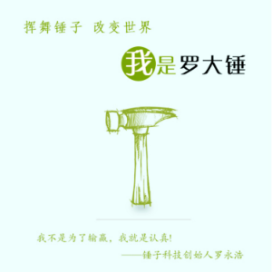 挥舞锤子，改变世界：我是罗大锤