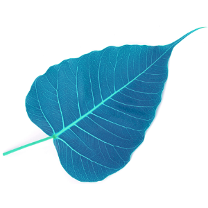 Happy Hour: Breathing Compassion for Ourselves and the World