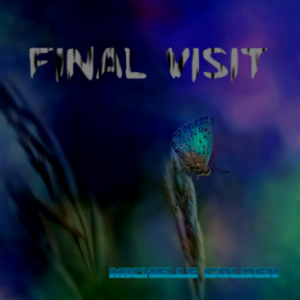 Final Visit-logo