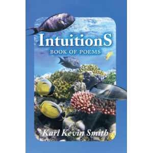 Intuitions
