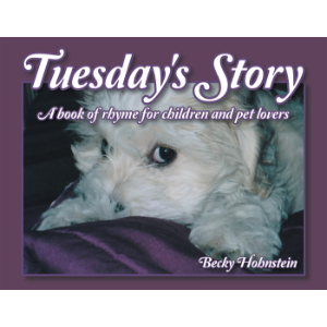 Tuesday's Story