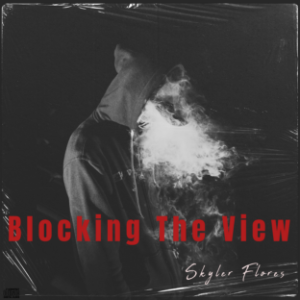 Blocking The View-logo