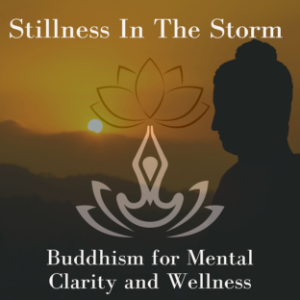 Stillness In The Storm-logo