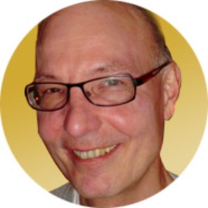 Rob van Dijk-logo