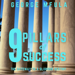Nine Pillars of Success-logo
