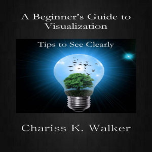 A Beginner's Guide to Visualization: