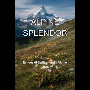 Chapter 1: Introduction to Alpine Gardens 5
