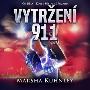 Vytržení 911