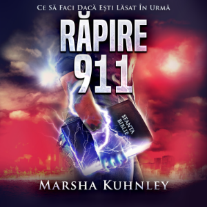 Răpire 911