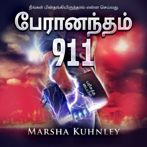 பேரானந்தம் 911