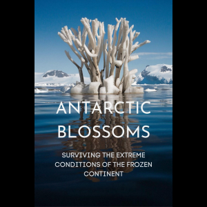 Chapter 1: Introduction to Antarctica's Harsh Environment 5