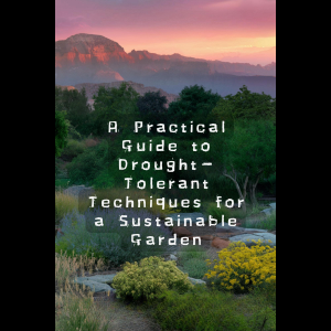 Chapter 1: Introduction to Drought-Tolerant Gardening 6