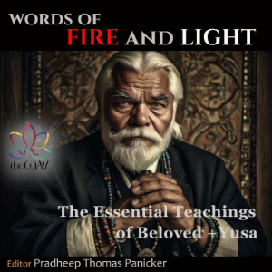 Words of Fire and Light-logo