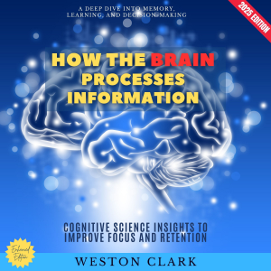 How the Brain Processes Information: