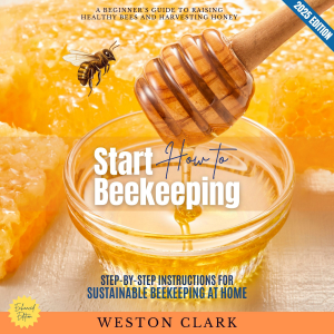 How to Start Beekeeping: