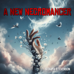 A New Necromancer-logo